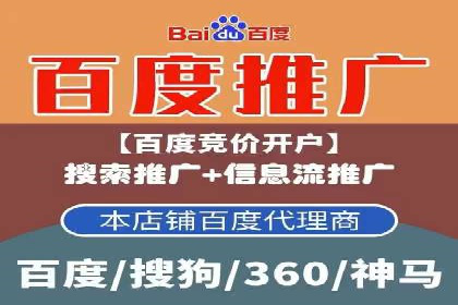 精准营销：百度推广平台的成功案例解析